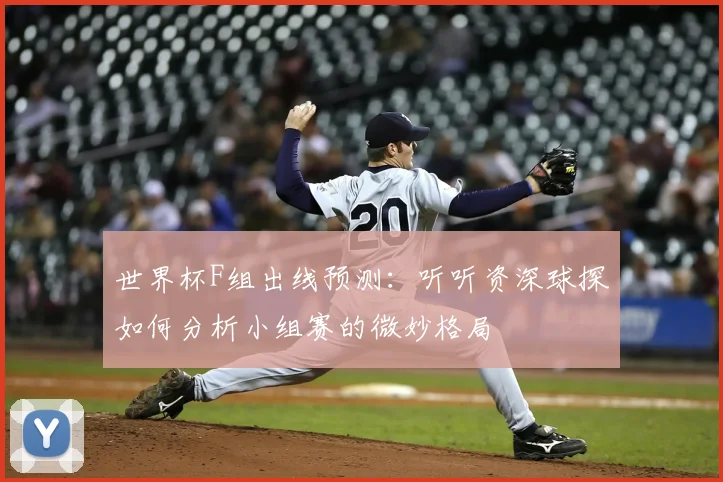 世界杯F组出线预测：听听资深球探如何分析小组赛的微妙格局