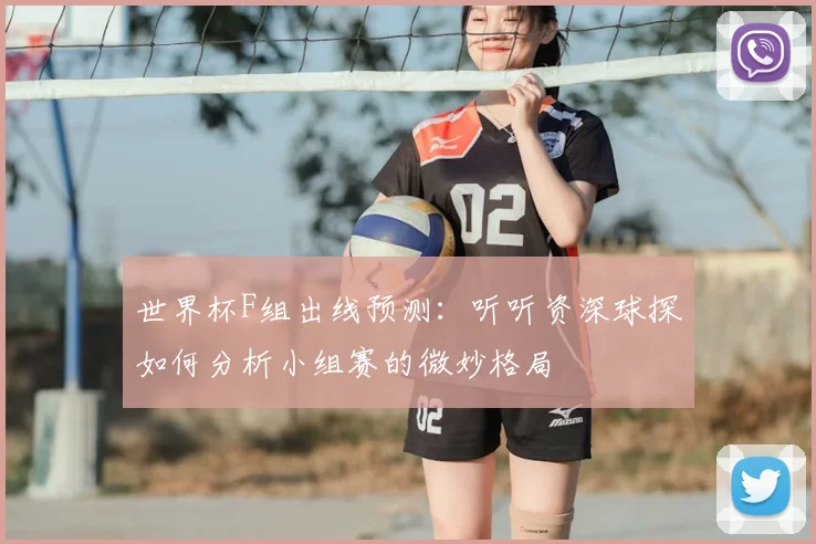 世界杯F组出线预测：听听资深球探如何分析小组赛的微妙格局