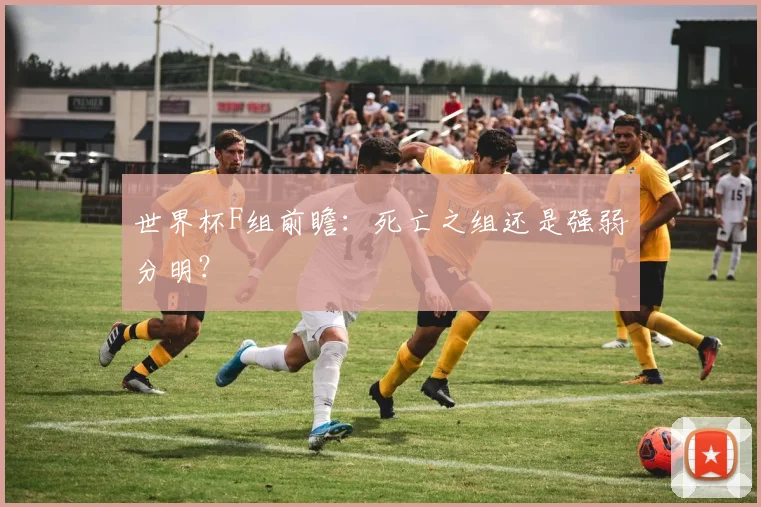 世界杯F组前瞻：死亡之组还是强弱分明？