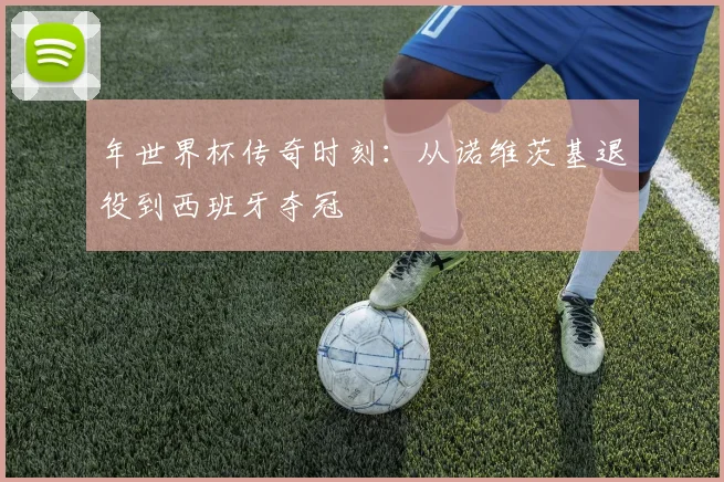年世界杯传奇时刻：从诺维茨基退役到西班牙夺冠